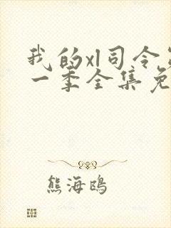 我的xl司令第一季全集免费播放动漫