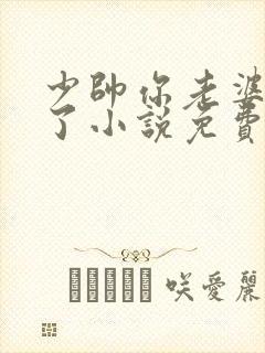 少帅你老婆又跑了小说免费观看