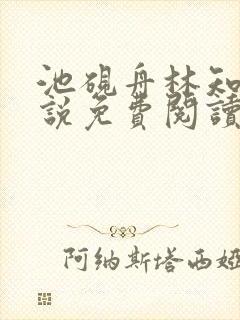 池砚舟林知夏小说免费阅读最新章节