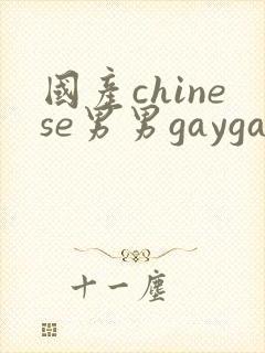 国产chinese男男gaygay照片封面