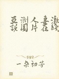 亚洲人妻激情小说图片在线视频