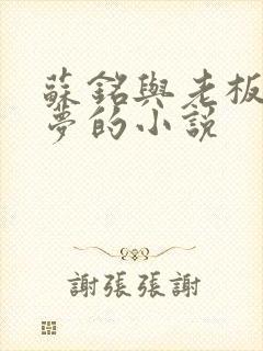 苏铭与老板娘沈梦的小说