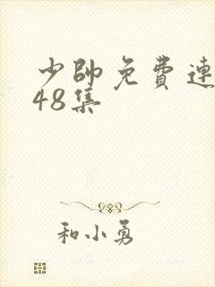 少帅免费连续剧48集