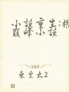 小说重生:权力巅峰小说