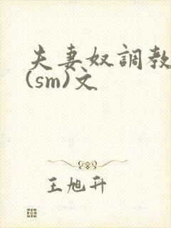 夫妻奴调教生活(sm)文封面