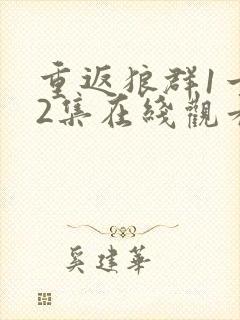 重返狼群1一12集在线观看