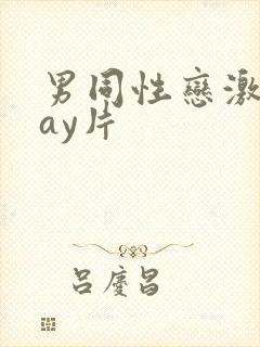 男同性恋激情gay片