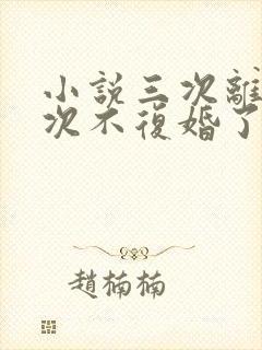 小说三次离婚这次不复婚了免费阅读封面