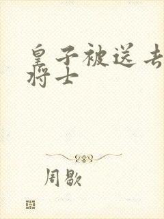 皇子被送去犒劳将士封面
