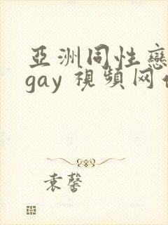 亚洲同性恋男 gay 视频网站