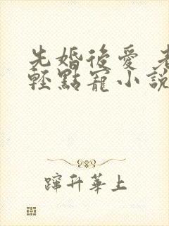 先婚后爱 老公轻点宠小说