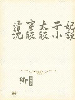 清穿太子妃康熙沈皎皎小说4封面