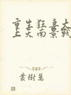 重生狂妻大佬宠上天南景战北庭