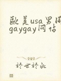 欧美usa男同gaygay网站