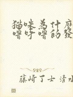 猫咪为什么会呼噜呼噜的发出声音