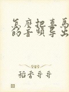 怎么把喜马拉雅的音频导出到mp3