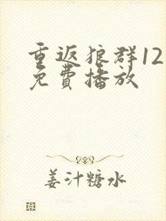 重返狼群12集免费播放