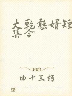 大乾憨婿短剧全集合封面