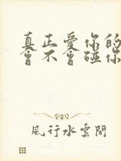 真正爱你的男人会不会碰你封面