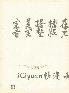 完美搭档在线观看完整版免费的