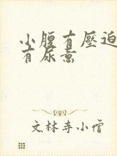 小腹有压迫感老有尿意