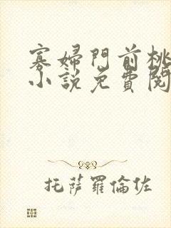 寡妇门前桃花多小说免费阅读全文