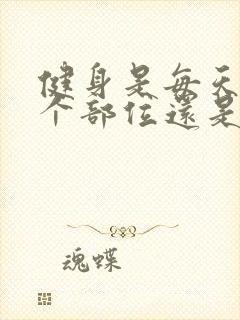 健身是每天练一个部位还是全身练