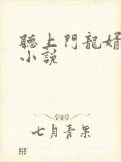 听上门龙婿有声小说