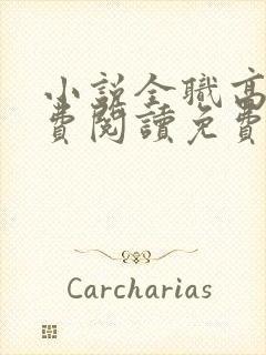 小说全职高手免费阅读免费