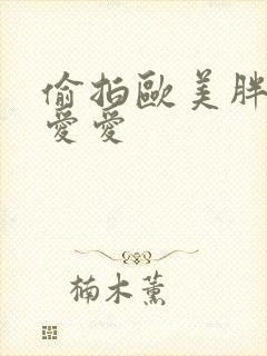 偷拍欧美胖女人爱爱