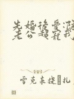 先婚后爱:隐婚老公超宠我