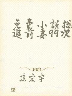 免费小说总裁倒追前妻99次封面