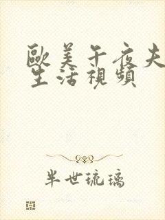 欧美午夜夫妻性生活视频