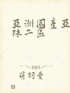 亚洲国产亚洲丝袜二区