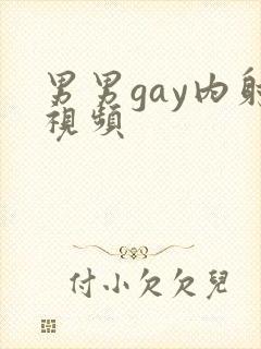 男男gay内射视频