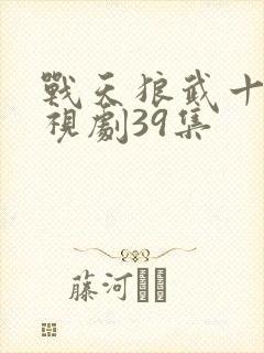 战天狼武十三电视剧39集