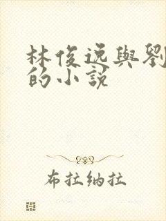 林俊逸与刘亦菲的小说