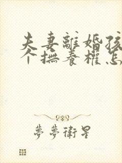 夫妻离婚孩子两个抚养权怎么判定