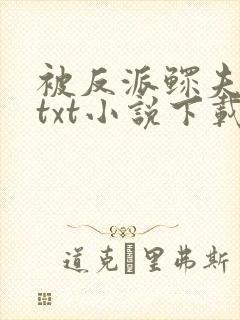 被反派鳏夫盯上txt小说下载