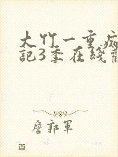 大竹一重痴汉日记3季在线观看