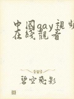 中国gay视频在线观看