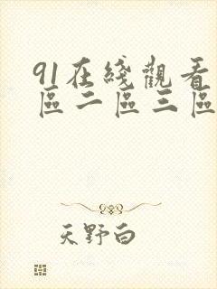 91在线观看一区二区三区国产封面