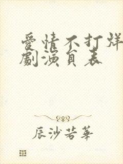 爱情不打烊电视剧演员表