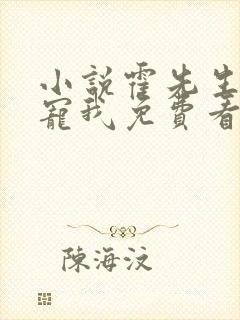 小说霍先生乖乖宠我免费看封面