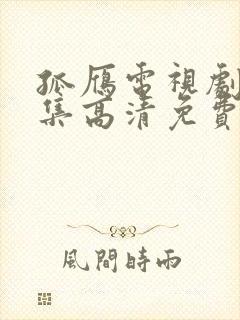 孤雁电视剧45集高清免费播放