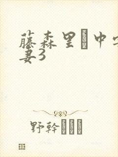 藤森里穂中字人妻3