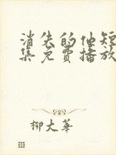 消失的他短剧全集免费播放