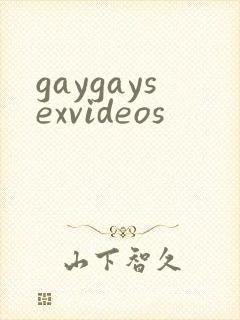 gaygaysexvideos