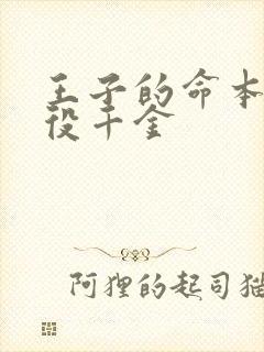 王子的命本是恶役千金