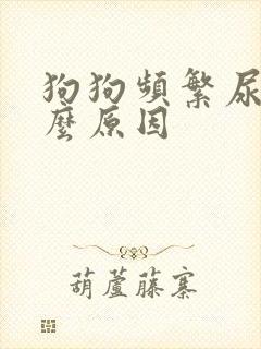 狗狗频繁尿是什么原因